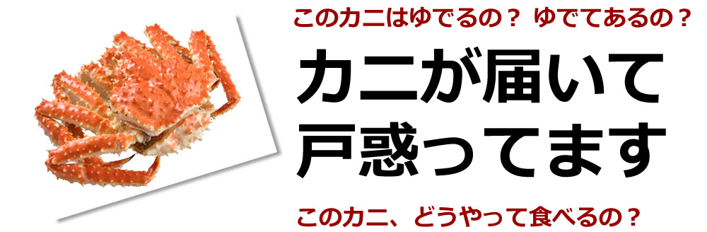Jj@ǂ