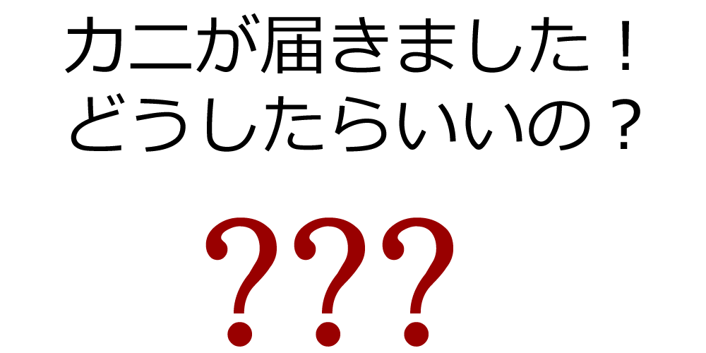 Jj͂